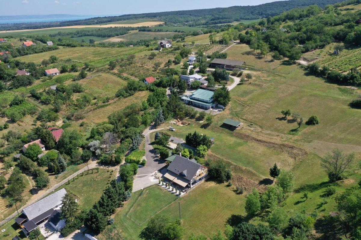 Borkúti Panzió és Apartman Balatonszárszó Extérieur photo