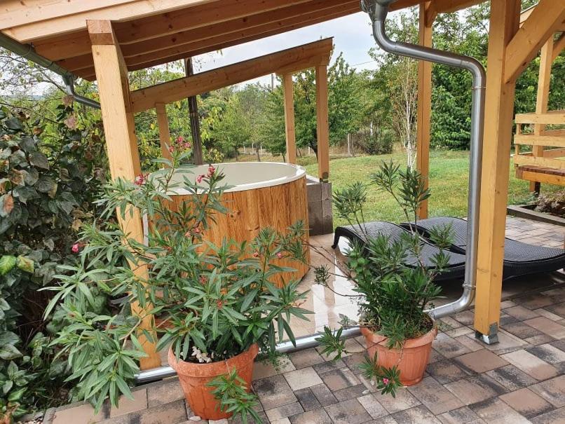 Borkúti Panzió és Apartman Balatonszárszó Extérieur photo